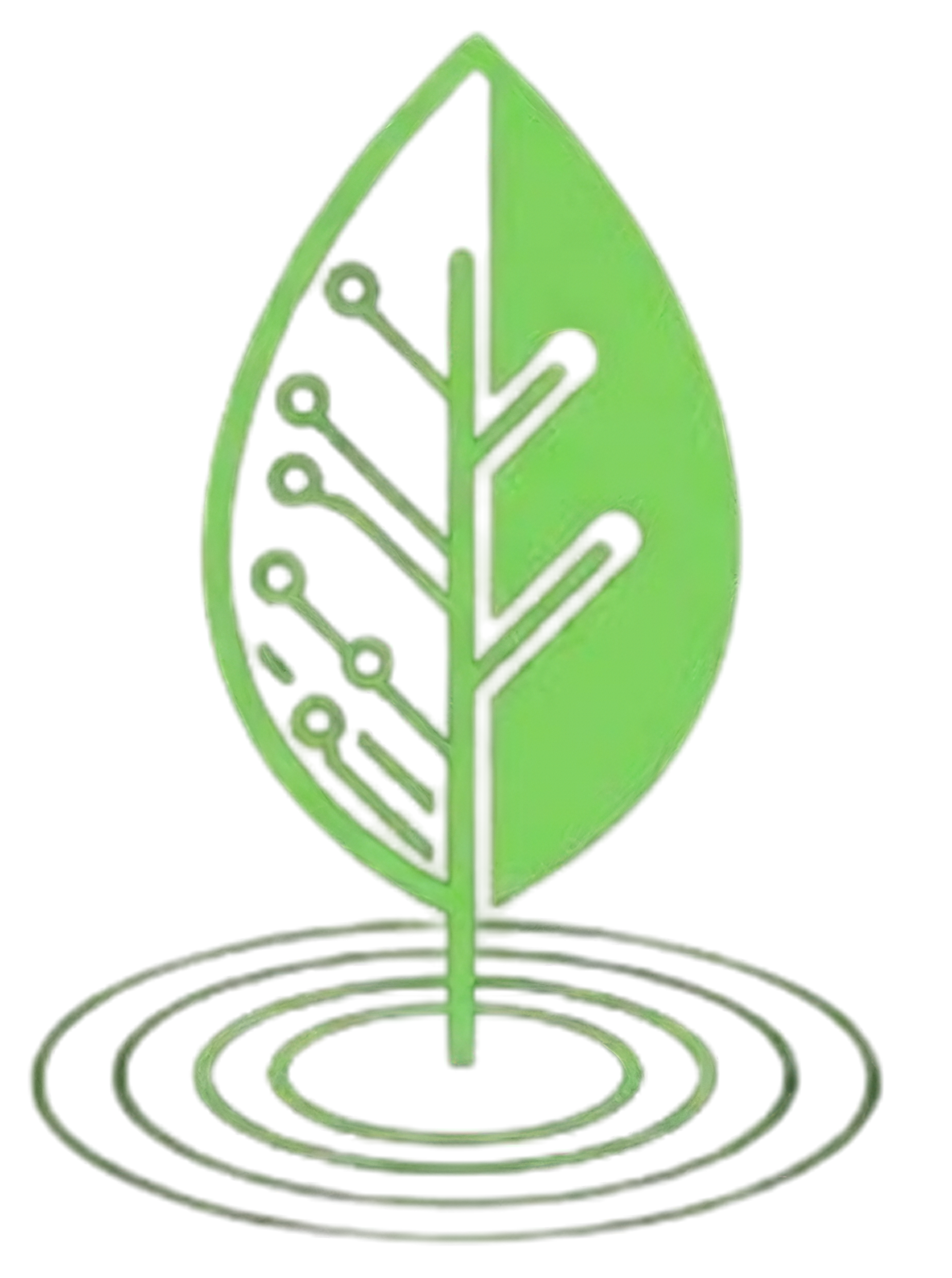 Cyberfootprint Solutions